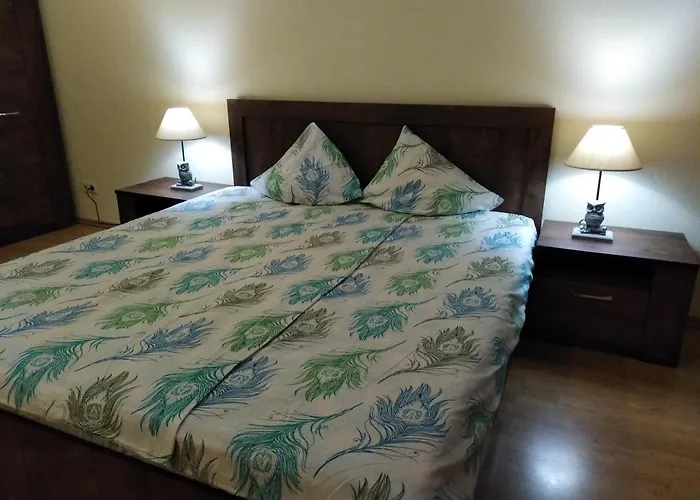 Raina Lux Apartment